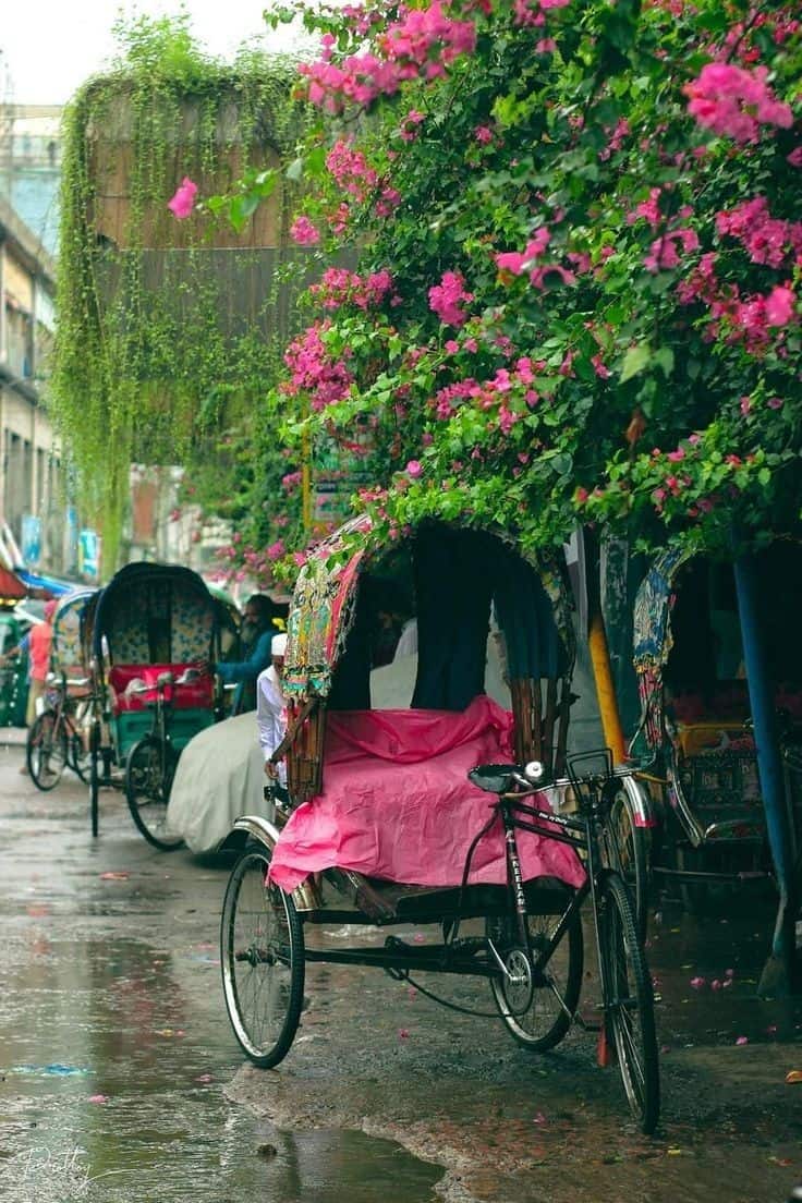 Travelling Through India Without Booking Anything