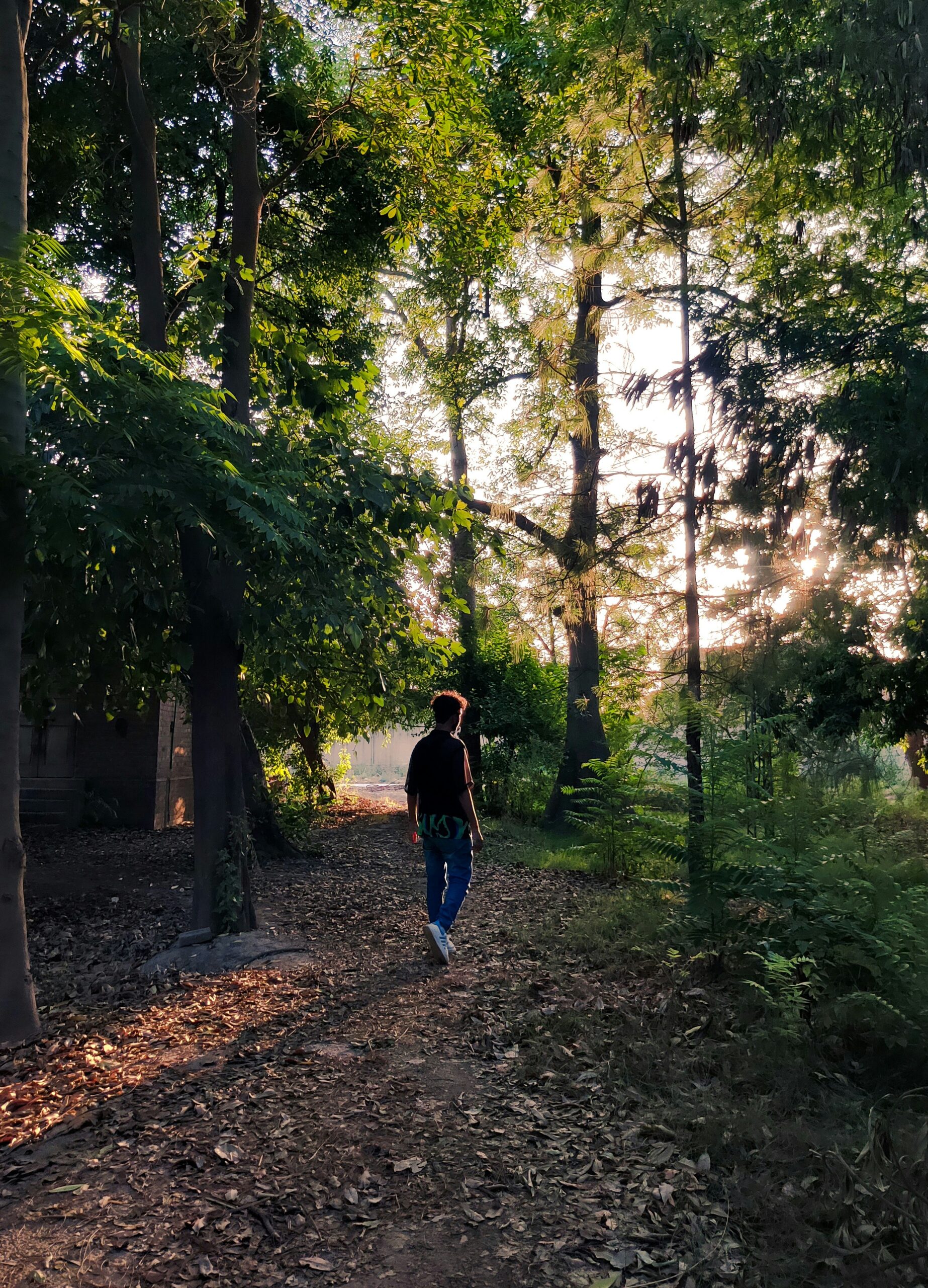 Daily 20-Minute Walk Found to Improve Heart Health, New Study Suggests