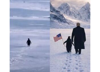 Why the “Nihilist Penguin” Meme Is Going Viral in 2026