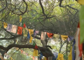 Children, Elders, and the Pace of Indian Travel