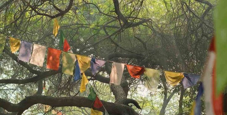 Children, Elders, and the Pace of Indian Travel