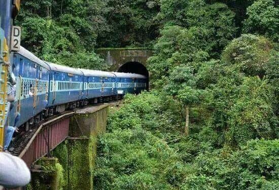 The Boom in Nature-First Travel: Why Indians Are Quietly Returning to Forests, Rivers, and Uncrowded Landscapes