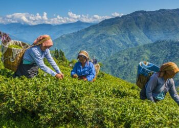 The Labour That Never Gets Photographed in Travel Content