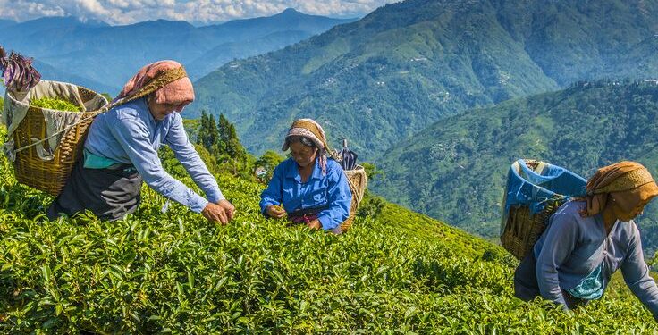The Labour That Never Gets Photographed in Travel Content
