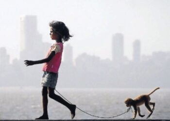 When Everyday Life in India Started Feeling Curated, Not Busy