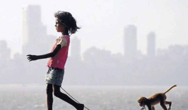 When Everyday Life in India Started Feeling Curated, Not Busy