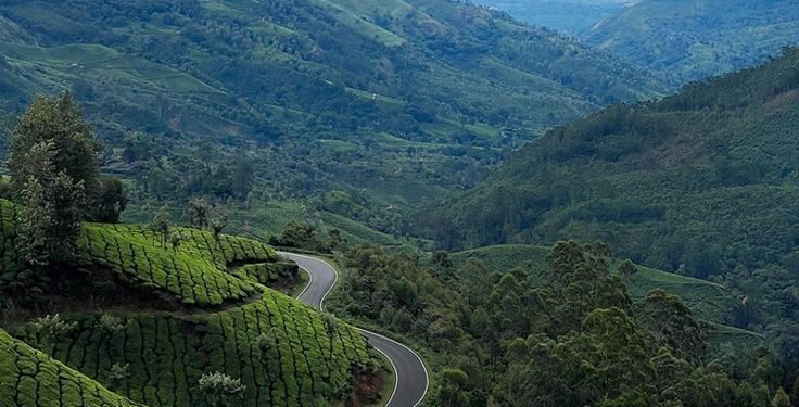 How India Travels Sustainably: Everyday Techniques Making Tourism Greener