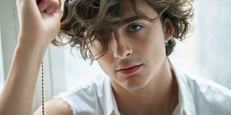 Timothée Chalamet, American-French Actor & Awards Season Star