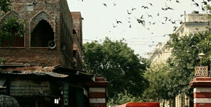 The Indian Relationship With Public Silence (And Why It’s Rare)