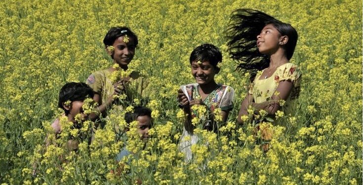 How Directions Are Given Differently Across India How Directions Are Given Differently Across India