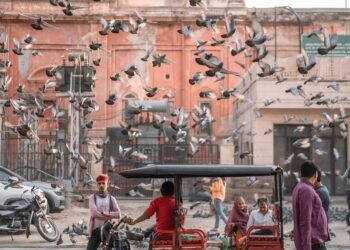 The Sounds You Carry Back from Indian Journeys (Not the Souvenirs)