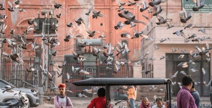 The Sounds You Carry Back from Indian Journeys (Not the Souvenirs)